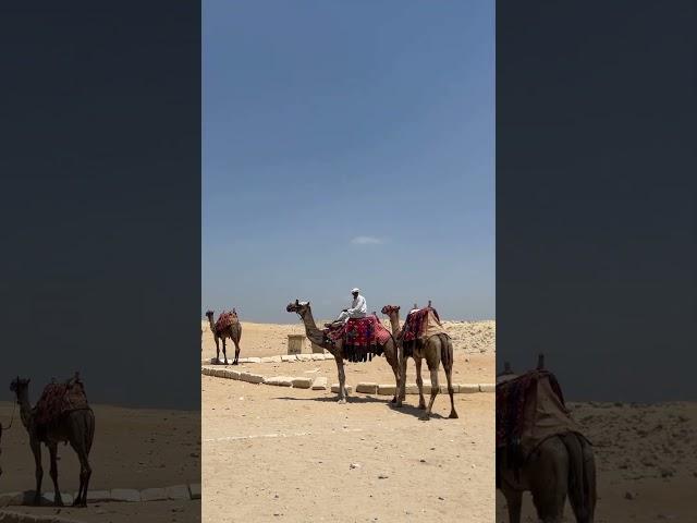 Egypt  piramida #travel #egipt #rap