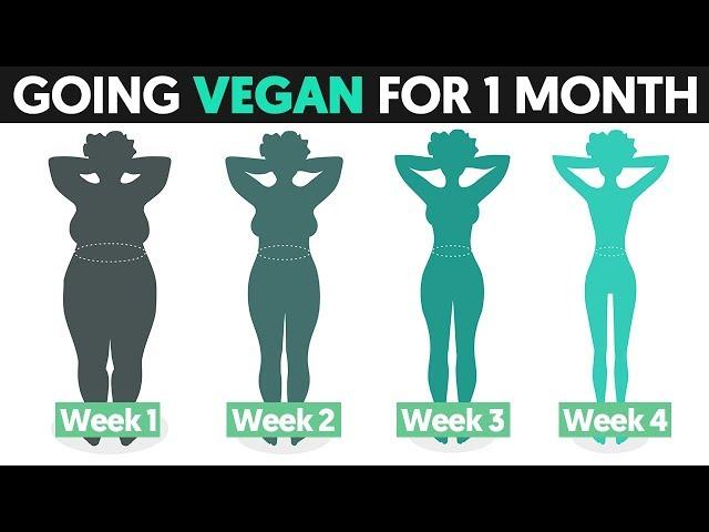 What happens to our body if we go Vegan for 1 month