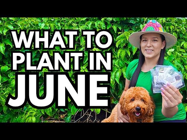 June Garden Guide: Veggies, Herbs & Flowers to Plant Now