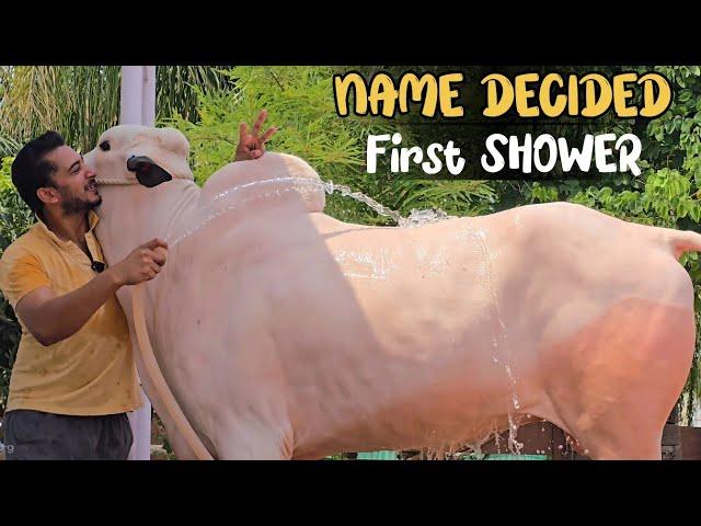 New Entry name decided  - First Shower - Amin bhai is back  - JNTV Vlogs