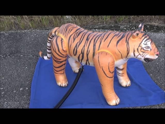 Popping Jet Creations Small Bengal Tiger