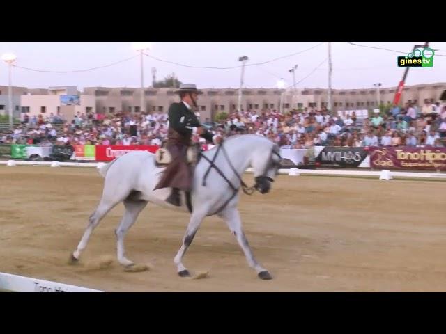 Resumen del XLVI Campeonato de Andalucía Absoluto de Doma Vaquera (Gines, 2024).