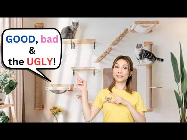 Catification On A Budget: Wall Mounted Cat Shelves (DIY + Product Critique)