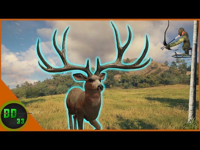 The Hunt For The Biggest Mule Deer We've Ever Seen! Call of the Wild 2024