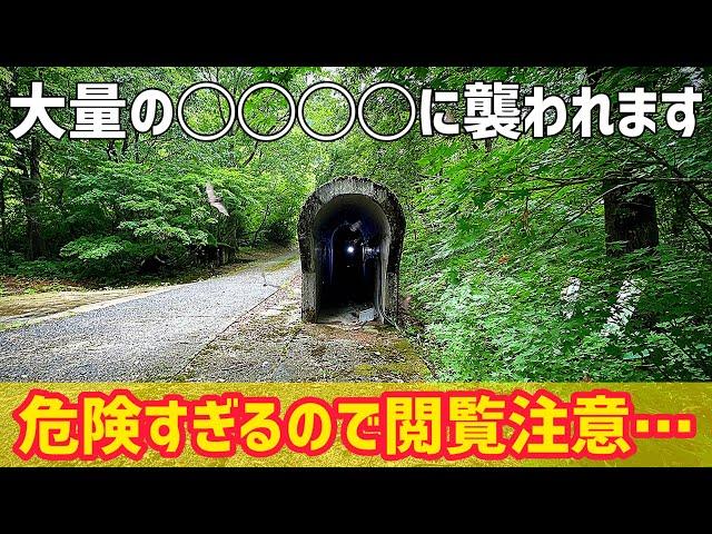 あのトンネルの内部がとんでもないことに…【廃線跡】