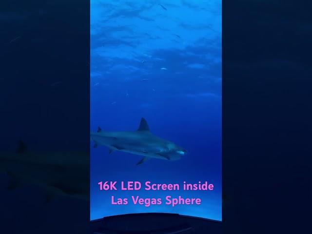 16K Immersive 3D LED Screen in Las Vegas Sphere #nseled #nseledcloud #nseledeurope