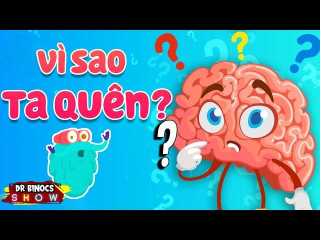 Tại sao bạn bị quên ? | Hiện tượng cơ thể người | Hoạt Hình Khoa Học Vui 2021