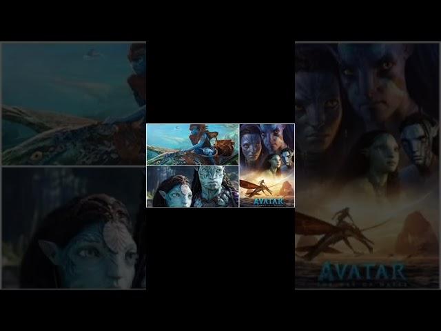 Varun Dhawan and Akshay Kumar reaction  #avatar #bollywoodnews #bollywoodgossips #avatar2 #shorts