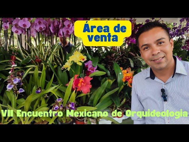 VII Encuentro Mexicano de Orquideologia en Guadalajara, área de venta