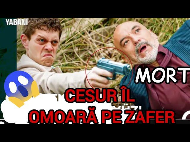 CESUR se RĂZBUNĂ pentru moartea lui YAMAN și îl *OMOARĂ*  pe ZAFER‼️DETALII ȘOC‼️