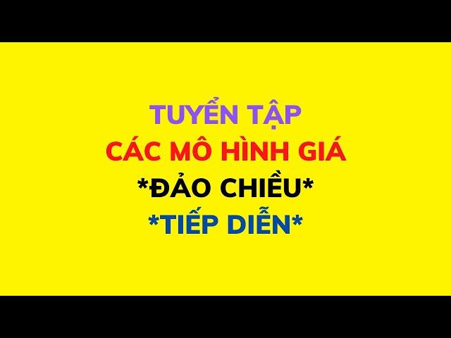 Bài 17: Các mô hình giá đảo chiều và các mô hình giá tiếp diễn cơ bản nhất.