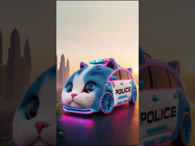 ️Evolution of Cat : Police Car  #cat #cute #love #shorts