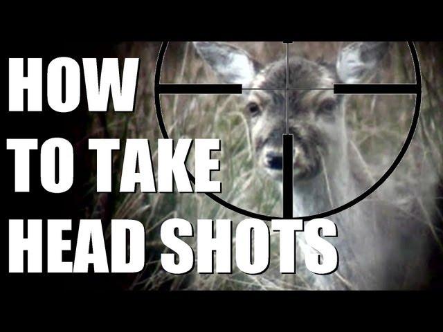 Fieldsports Britain : Fallow deer cull + grayling on the Kennet