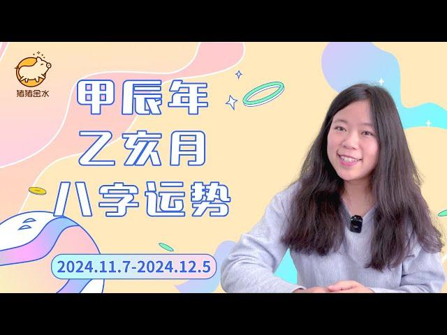 甲辰年乙亥月（24.11.7-24.12.5）八字运势【精华版】超级适合搭建框架的水木驿马月猪猪运势