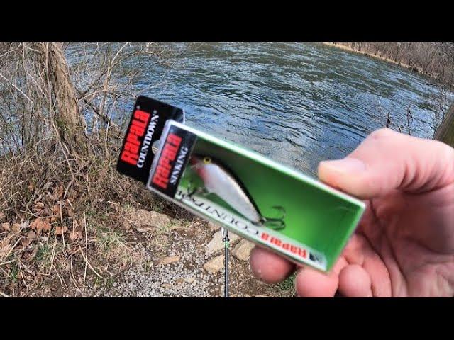 TROUT FISHING with Rapala Countdown (amazing lure)