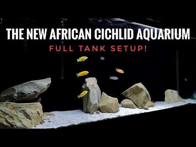 WE'RE BACK! | Setting up a new AFRICAN CICHLID AQUARIUM - Full step by step guide