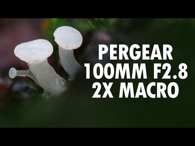 Pergear 100mm F/2.8 2x Macro Lens Review