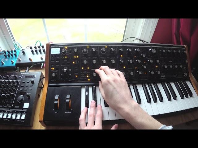 The Power of the Moog Subsequent 37