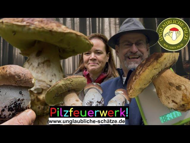 Monster Steinpilze im Schwarzwald! Steinpilz Suche der Extraklasse! Pilze suchen September 2024