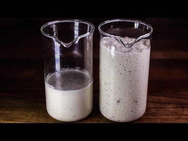 How to Make a SOURDOUGH Starter | Detailed Instructions for Guaranteed Success