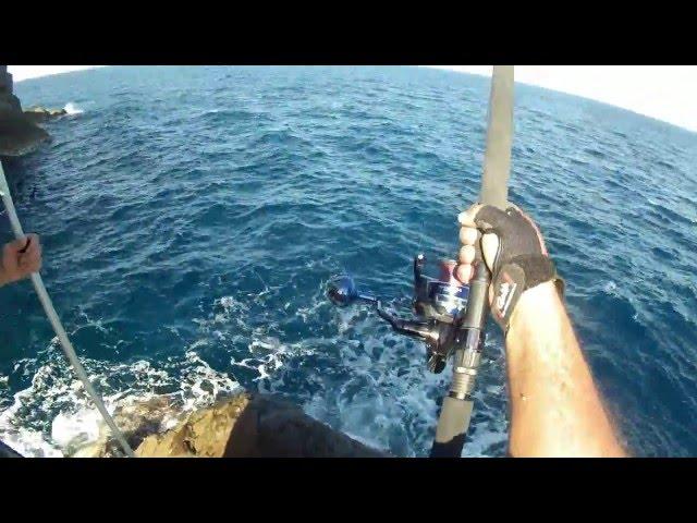 Shore jigging: Spooled by a monster Tuna! Feat ZENAQ ACCURA 100HH