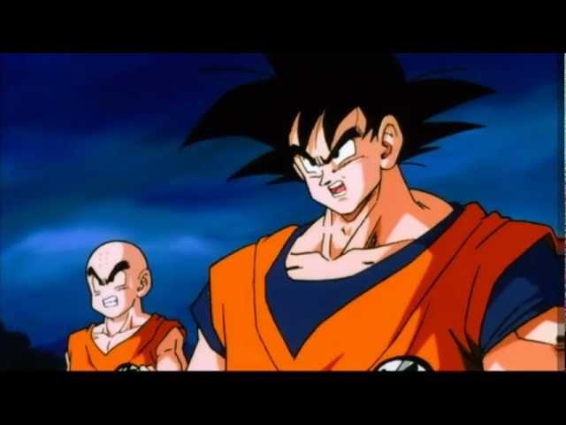 Goku and Krillin are Both Self Employed