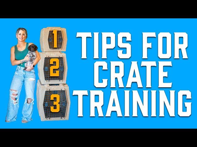 Our Top 3 Crate Training Tips For Puppies - Guaranteed To Work