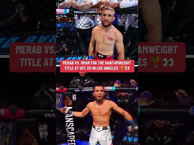Merab vs. Umar for the bantamweight belt  #UFC311
