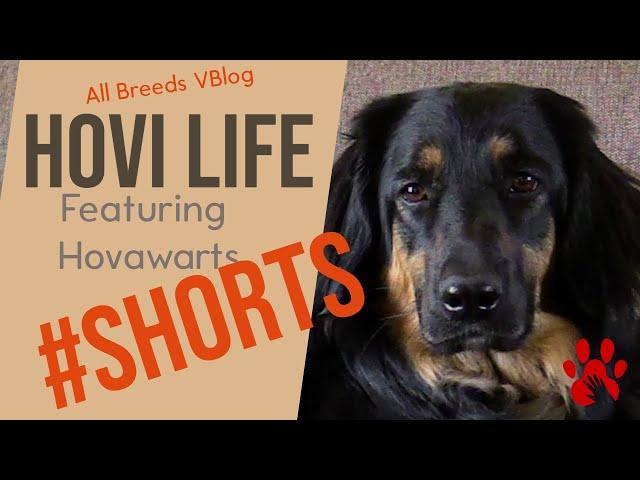 Travel to HCNA Dog Show - Geology Lesson - Mississippi Watershed - #shorts