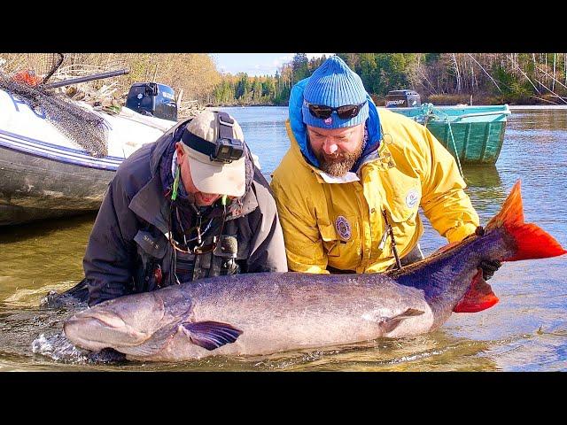 Tugur River taimen trip 2021. Includes footage of world record taimen  Река Тугур. Поездка 2021г