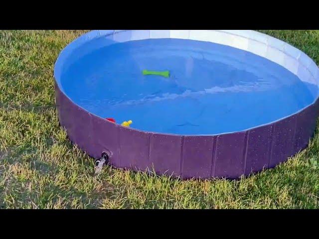 User Guide for Auroth Dog Swimming Pool with Fountain