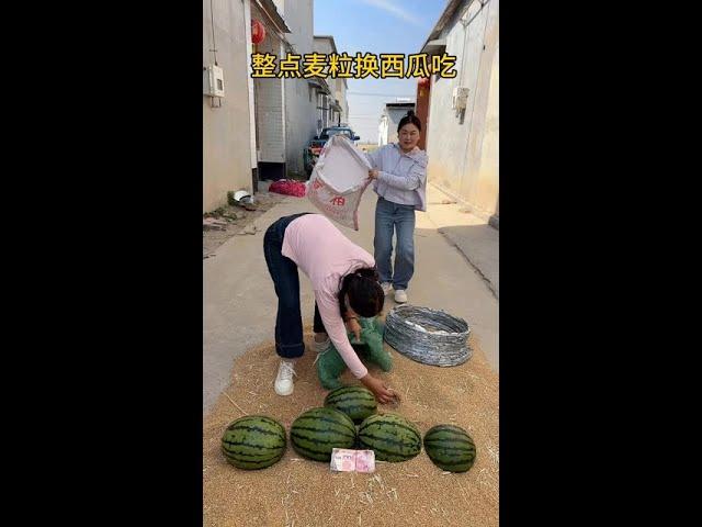 #搞笑#搞笑创作#放松时刻#搞笑#农村趣事#乡村正能量