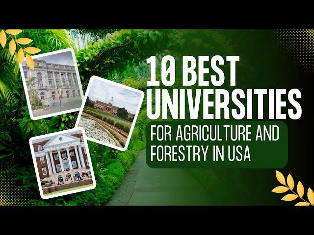 10 Best universities for Agriculture and Forestry in USA