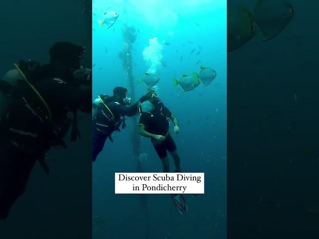 Get adventure crazy! Scuba dive with ur friends in #pondicherry this year. Contact us @ 6384445248