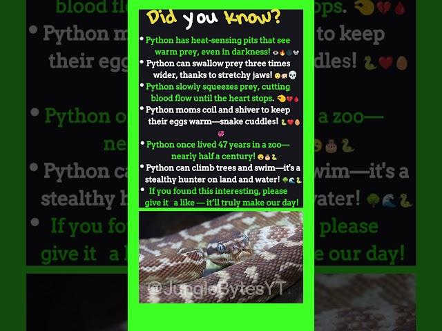 Can a Python Live an Incredible 47 Years?