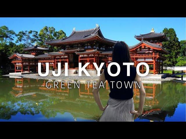 KYOTO Uji Perfect Guide Byodo-in Temple and Uji Green Tea Tour Japan Travel Vlog