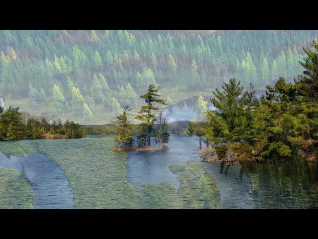 The Canadian Shield in Ontario