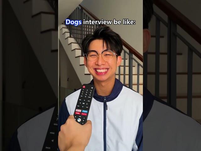 Cats interview be like