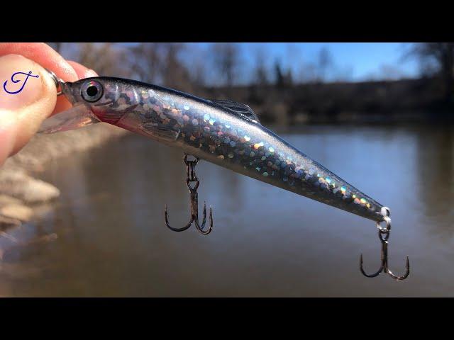 Shiny Jerkbait smacked by 6 River Fish!