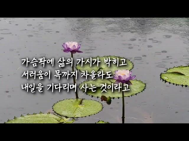 (좋은글) 산다는건…