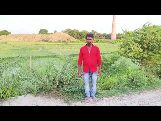 Bihar beautiful  gaon #new  best #video ammamauri #reels