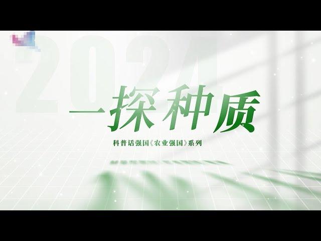 科普话强国农业强国系列《一探种质》