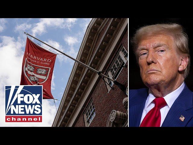 MAJOR ruling expected in Trump, Harvard battle