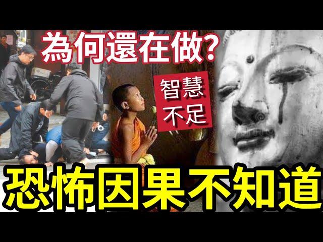 #佛禪 報應有多可怕？可怕在「凡人只懂畏果」 菩薩才懂畏因！人生一錯再錯！沒有人會在因果中幸存！