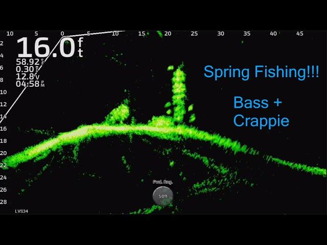 Spring Fishing For Bass and Crappie!!!  Full-Screen LiveScope Fishing Footage!!!  Trip #17