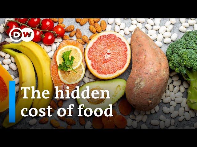 Is our food costing us more than we pay? | DW Business