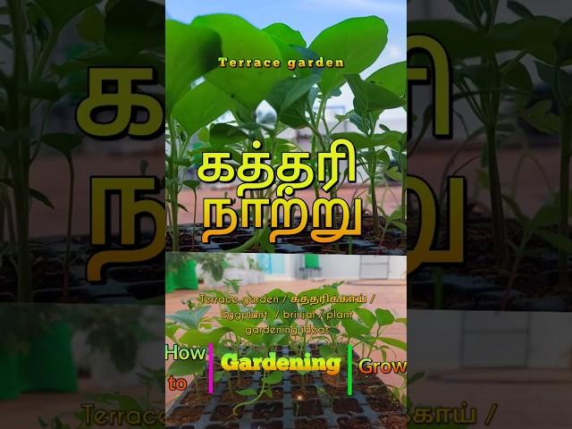 DIY GARDENING ll #shorts #shortsfeed #shortvideo #diy