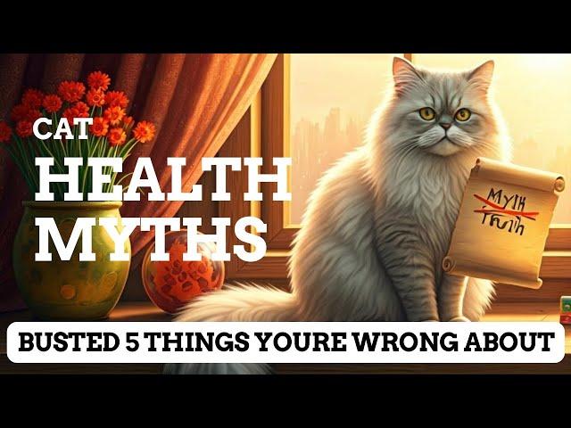 Cat Health Myths Busted: 5 Things Youre WRONG About