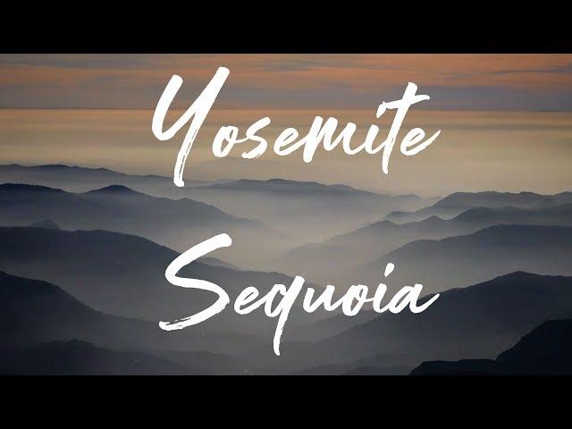 Magical journey through  Yosemite & Sequoia NP