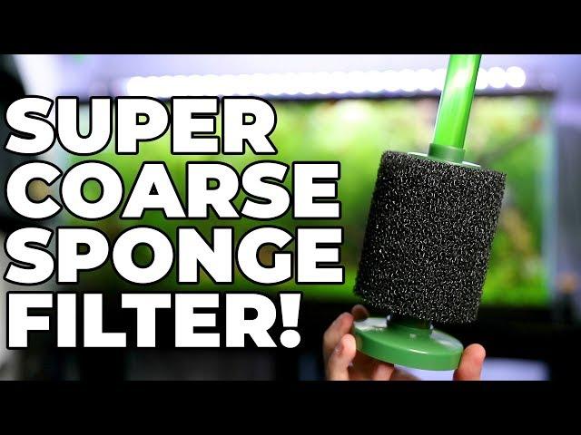 Aquarium Co-Op Coarse Sponge Filter Review